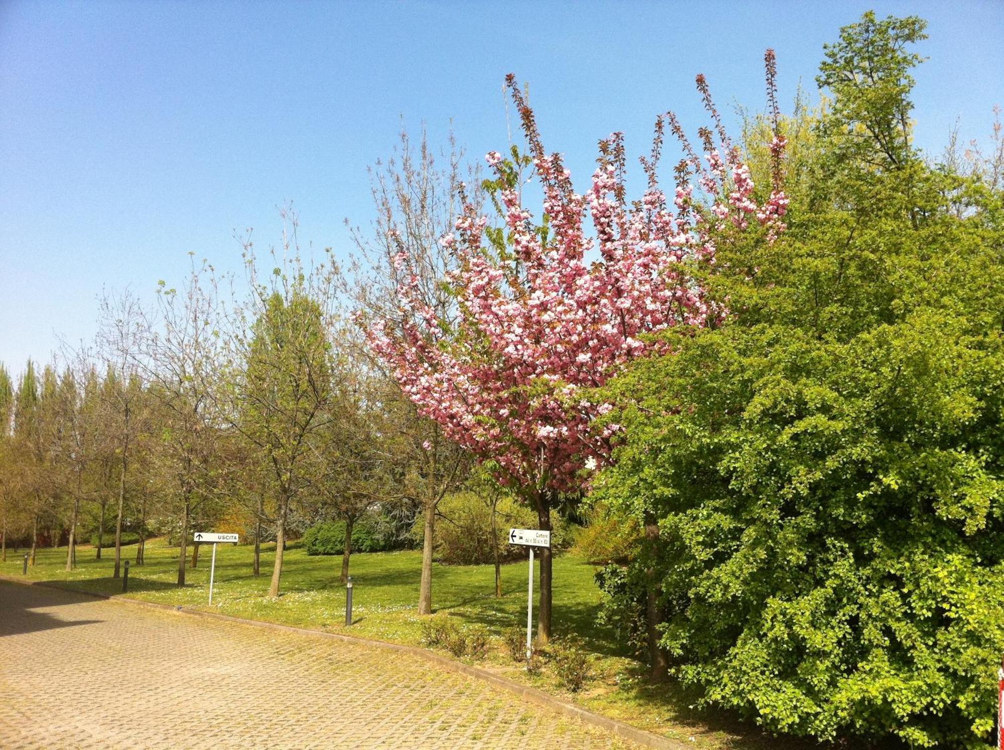 Just Hotel Saronno Exterior photo